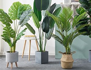 Artificial Plants