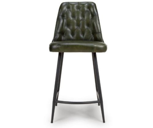 Furniture Link Bradley Green Counter Chair in Pair