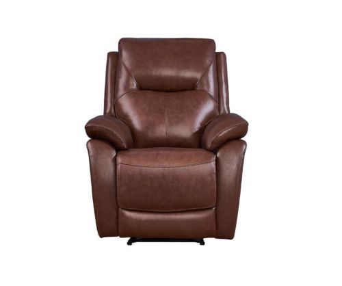 Rimini Tan Leather Armchair