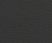Wiemann Denver Futon Bed with Graphite Faux Leather Cushion Headboard