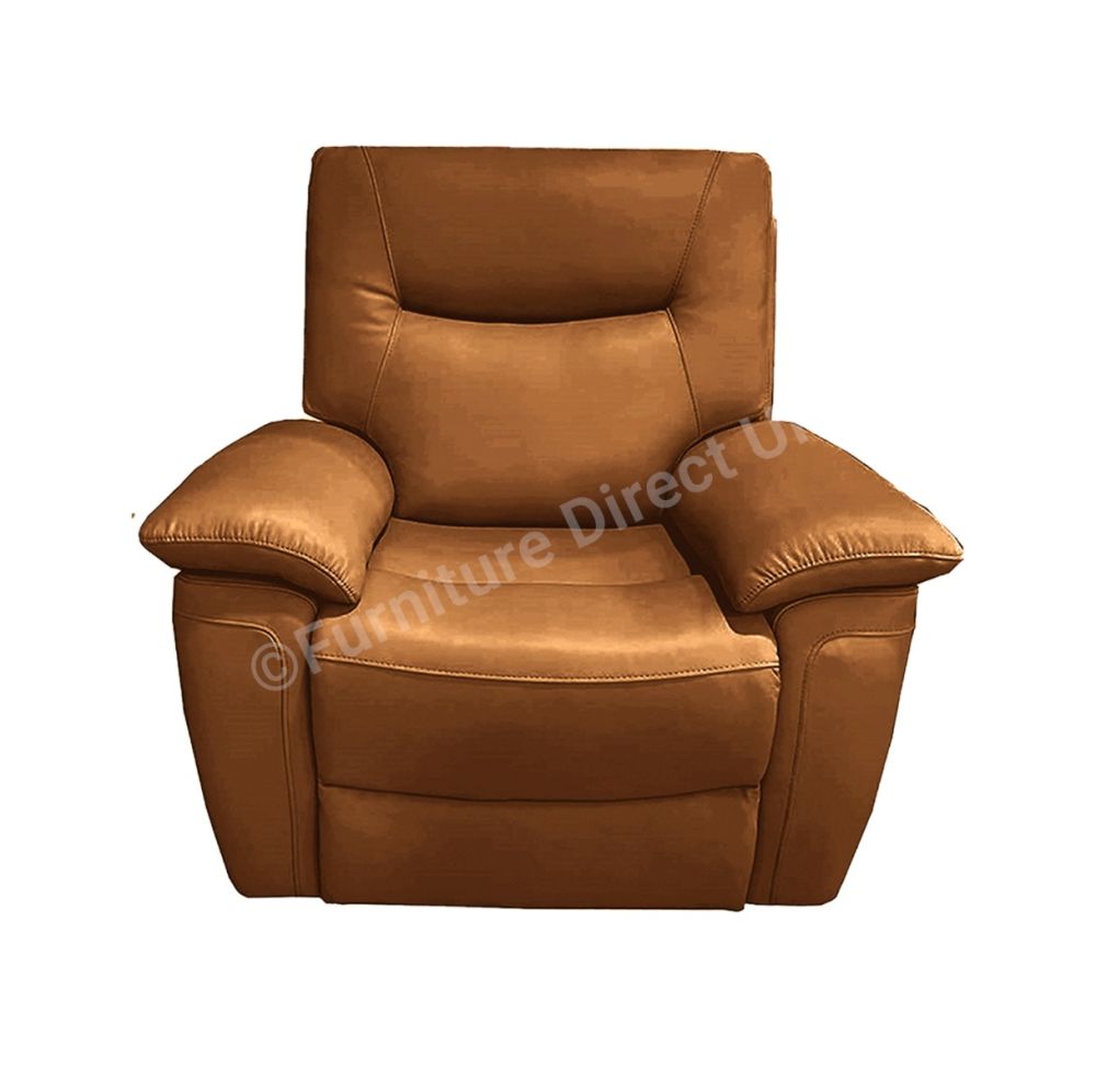 Lucia Tan Power Recliner Chair 